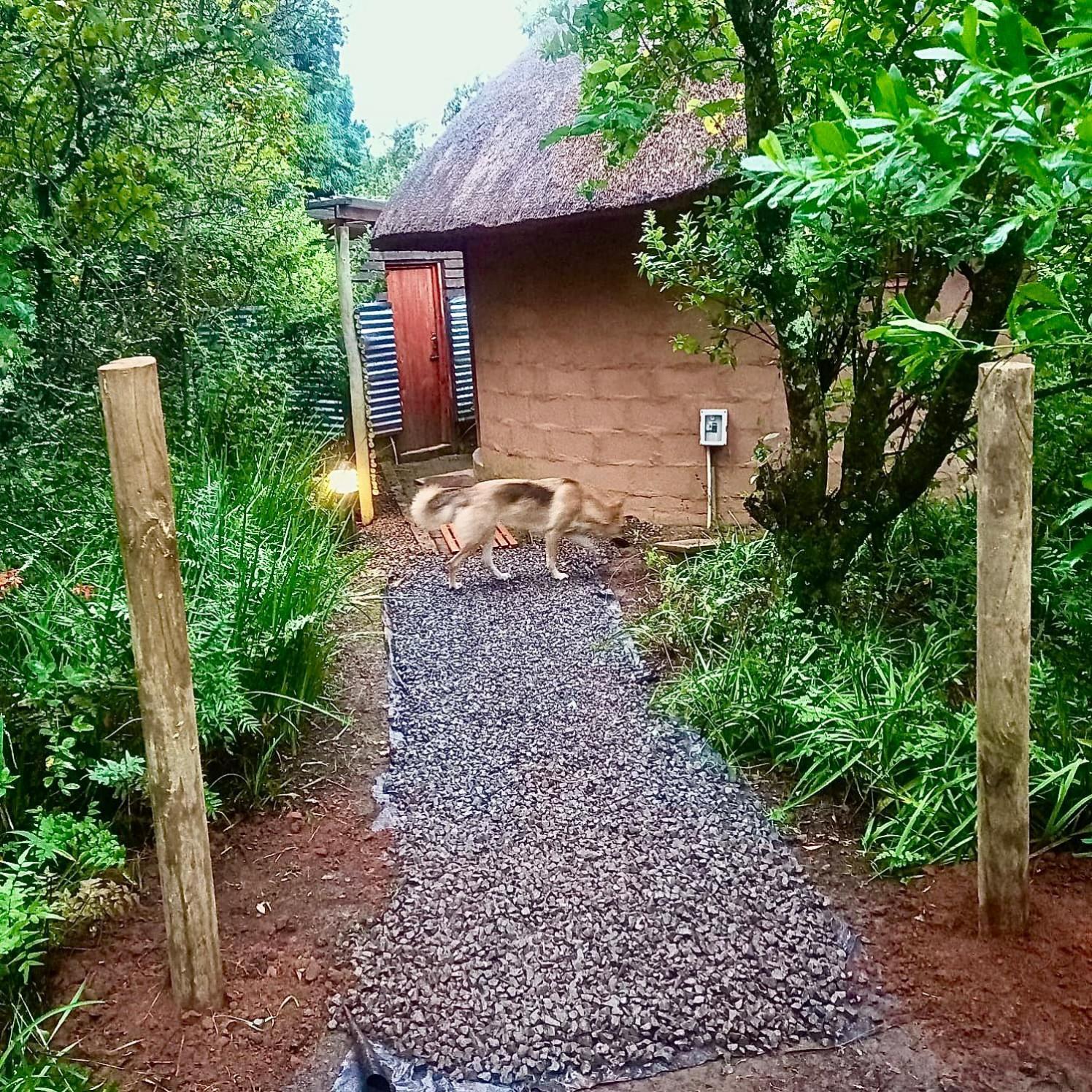 Drakensberg Inkosana Lodge Champagne Valley Ngoại thất bức ảnh