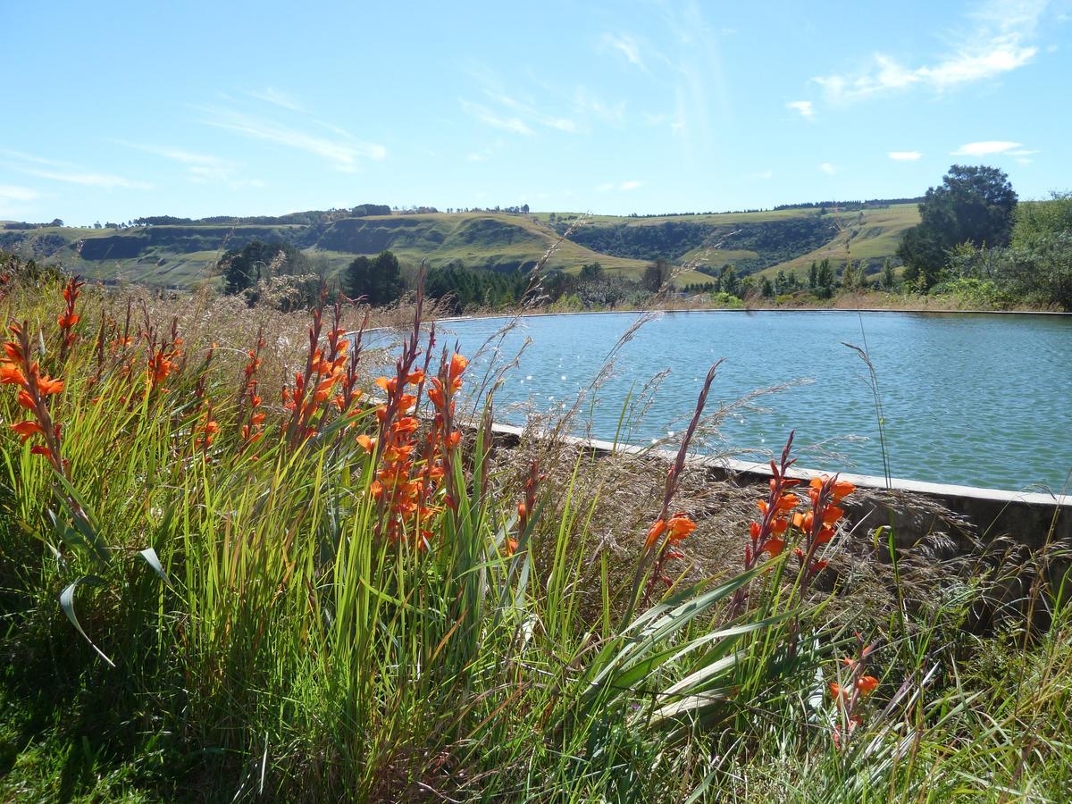 Drakensberg Inkosana Lodge Champagne Valley Ngoại thất bức ảnh