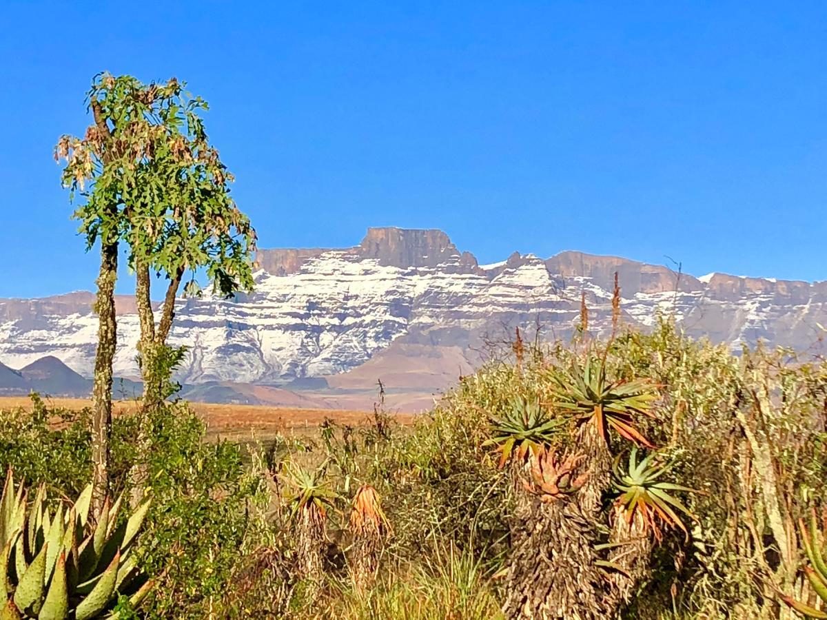 Drakensberg Inkosana Lodge Champagne Valley Ngoại thất bức ảnh